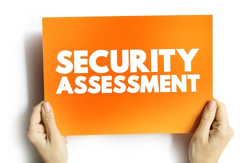 security assessment consulting